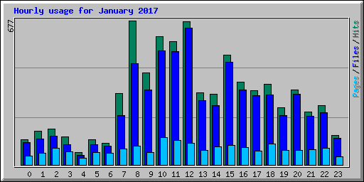 Hourly usage for January 2017