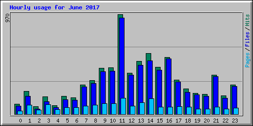 Hourly usage for June 2017